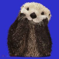 Adorable Sea Otter Gift Women's T-Shirt thumb 6