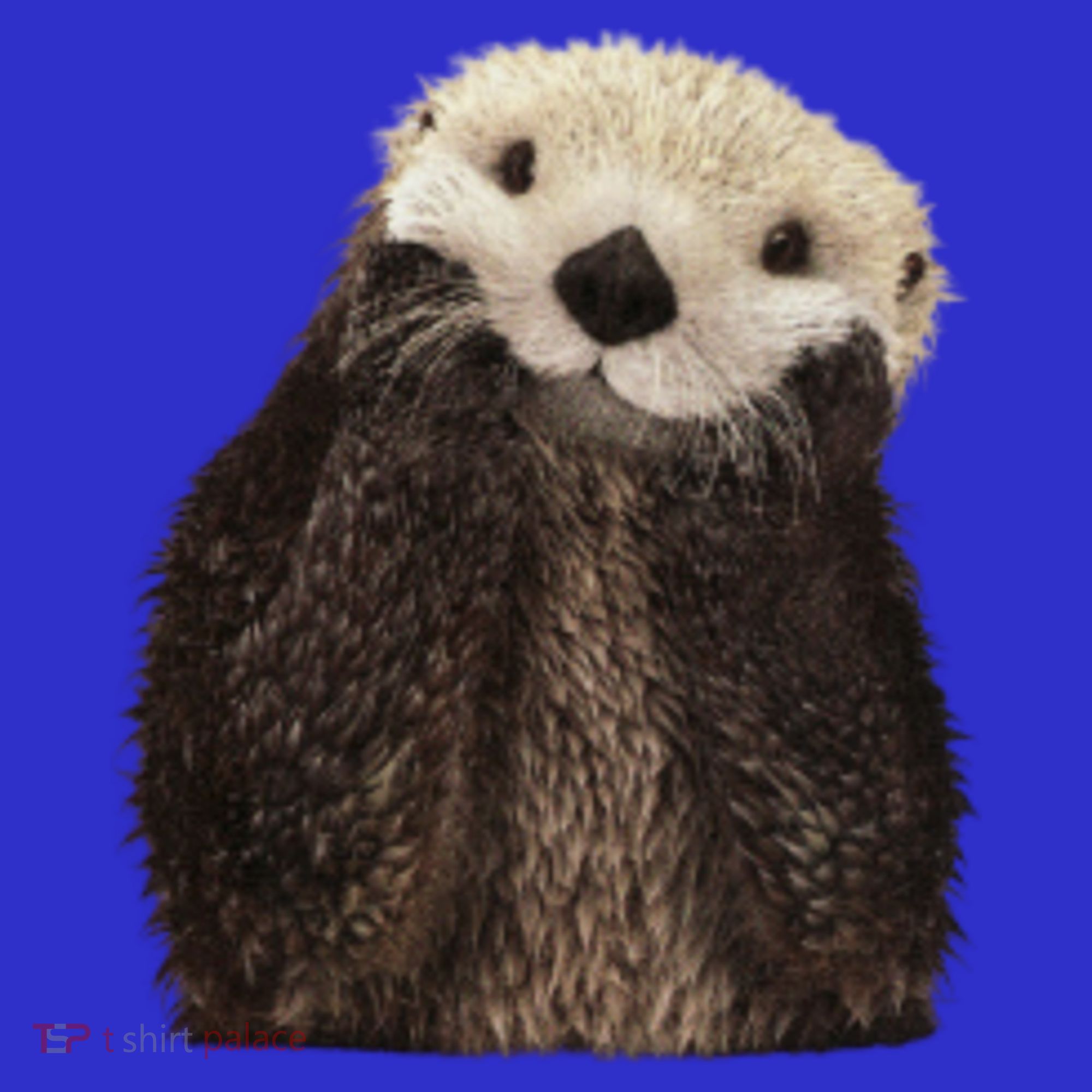Adorable Sea Otter Gift Women's T-Shirt