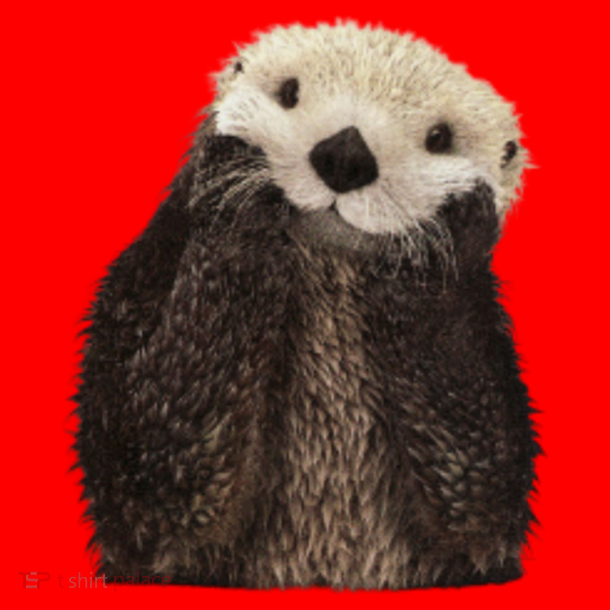 Adorable Sea Otter Gift Santa Hat