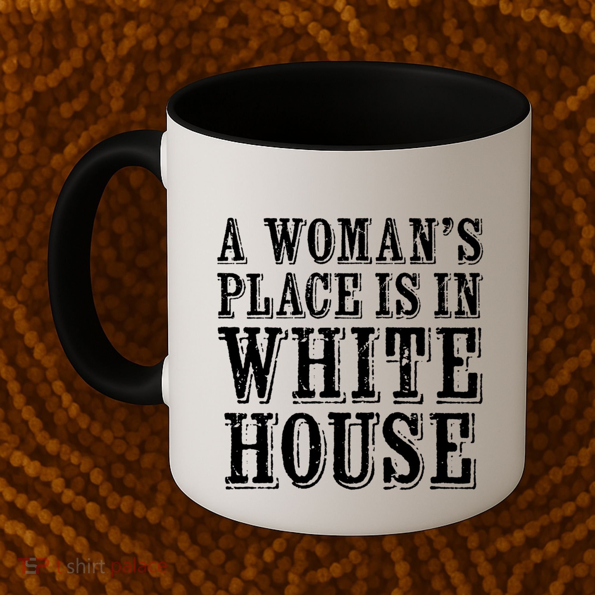 A S Place Is In The White House President Gift Coffee Mug
