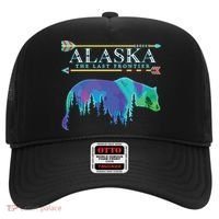 Alaska State Pride Alaska Northern Lights Alaskan Bear Hat thumb 0