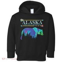 Alaska State Pride Alaska Northern Lights Alaskan Bear Toddler Hoodie thumb 0
