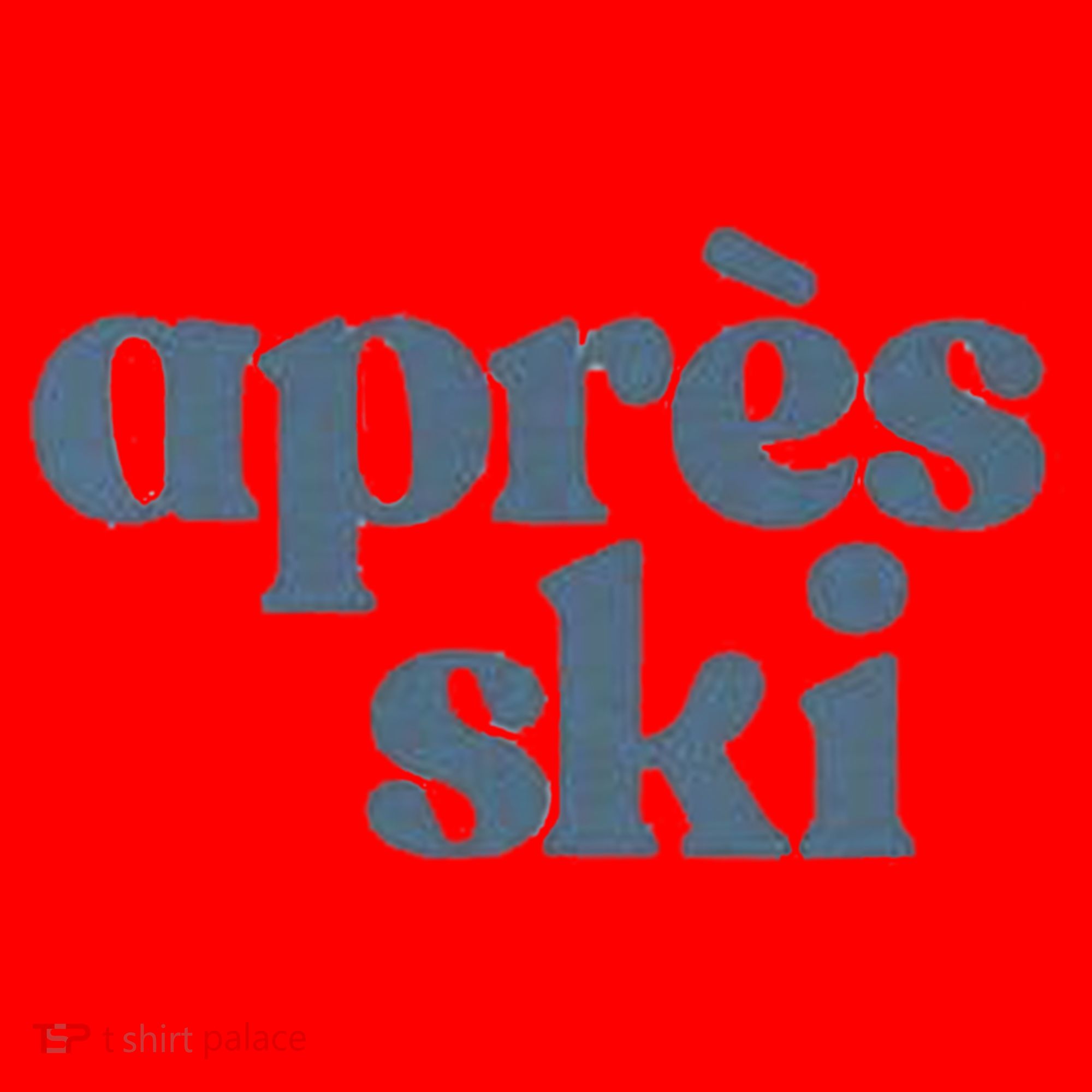 Après Ski Retro Winter Sports Funny Gift Santa Hat
