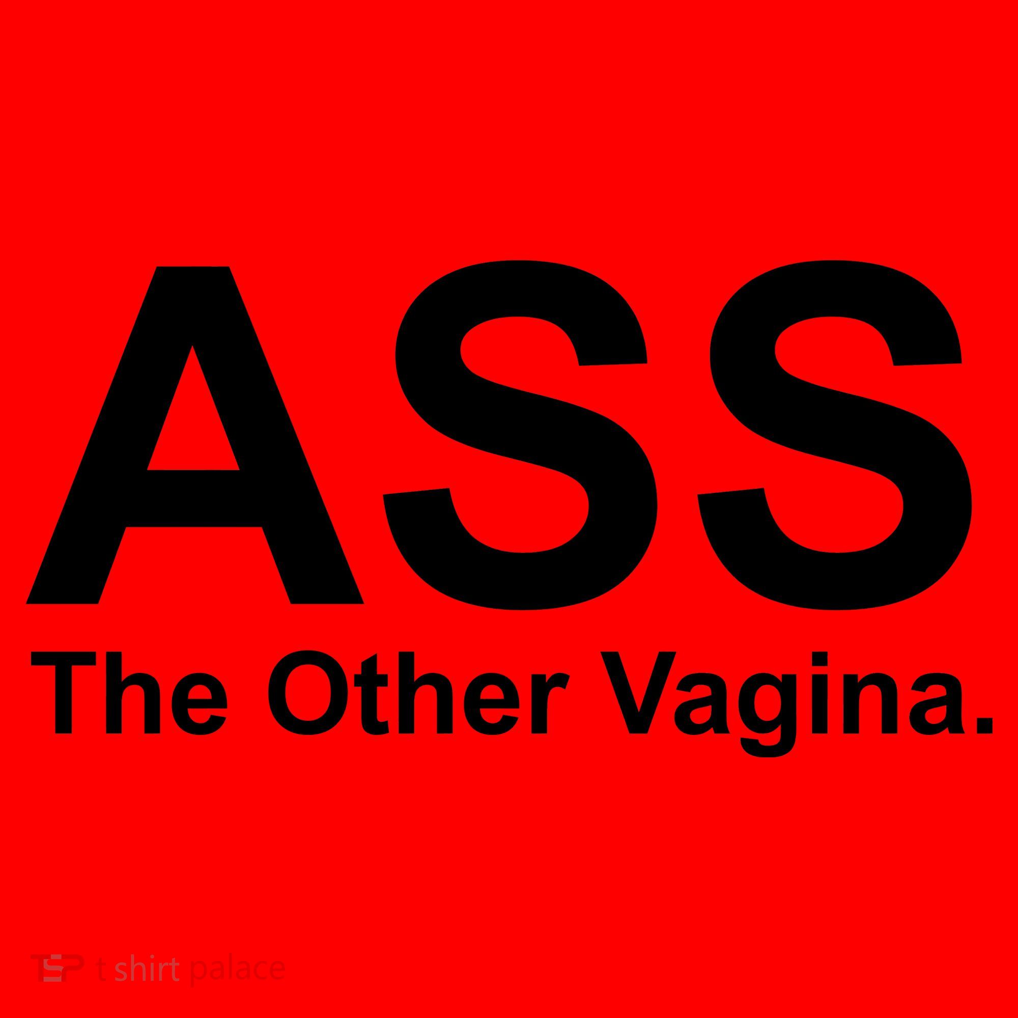 Ass The Other Vagina Santa Hat