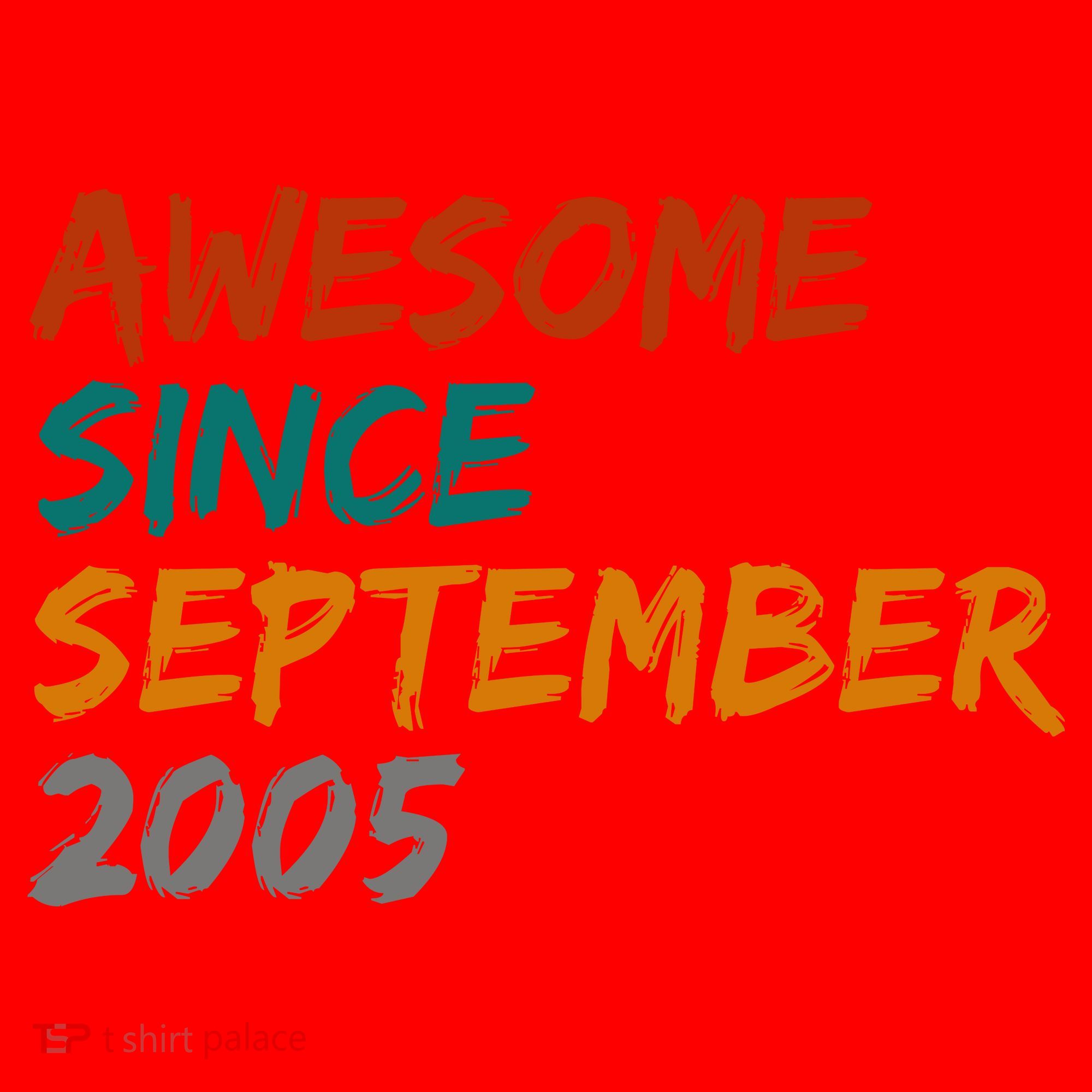 Awesome Since September 2005 Santa Hat