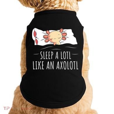 Axolotl Salamander Sleeping   Doggie Tank