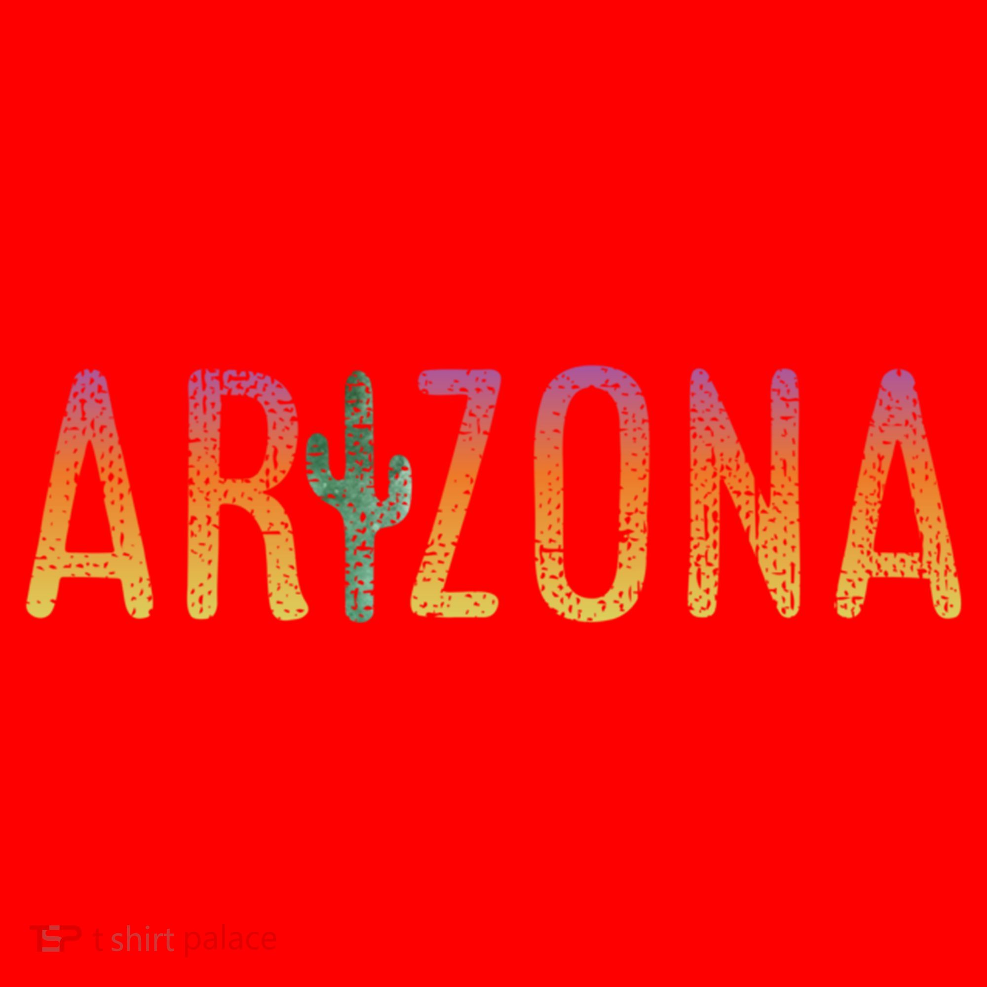 Arizona State Souvenir Arizona Cactus Funny Gift Santa Hat