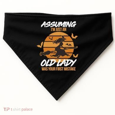 Assuming I'm Just An Old Lady Was a Mistake Halloween USA-Made Doggie Bandana