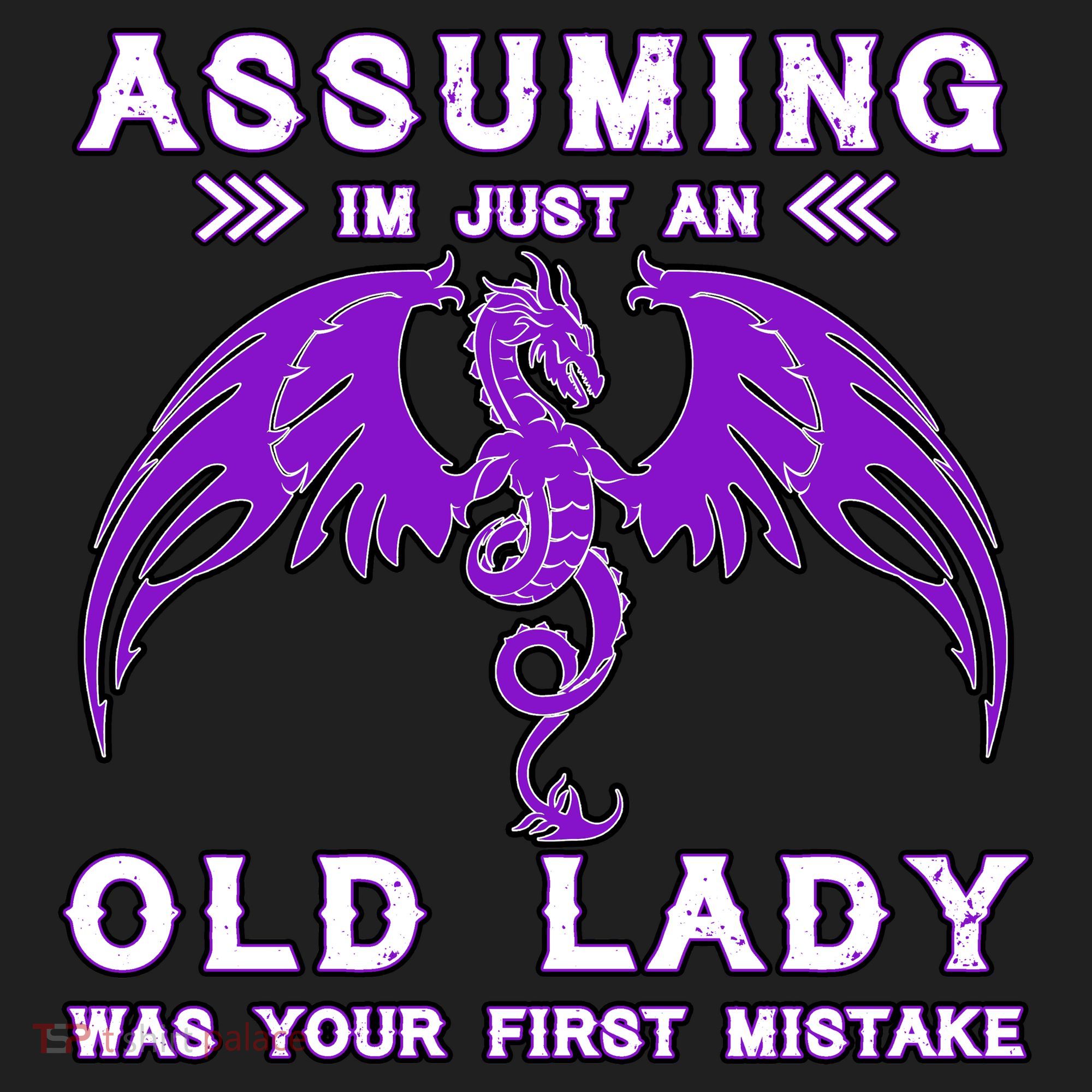 Assuming I'm Just An Old Lady Was Your First Mistake Tumbler