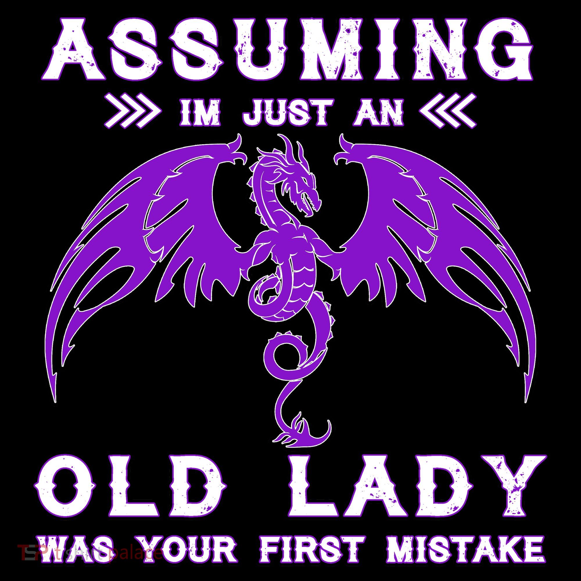 Assuming I'm Just An Old Lady Was Your First Mistake Women's T-Shirt
