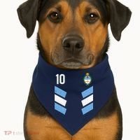 Argentina Soccer Team Jersey 10 Flag Elblem USA-Made Doggie Bandana thumb 1