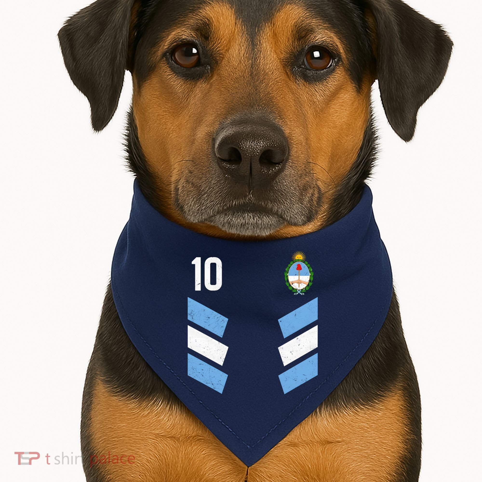 Argentina Soccer Team Jersey 10 Flag Elblem USA-Made Doggie Bandana
