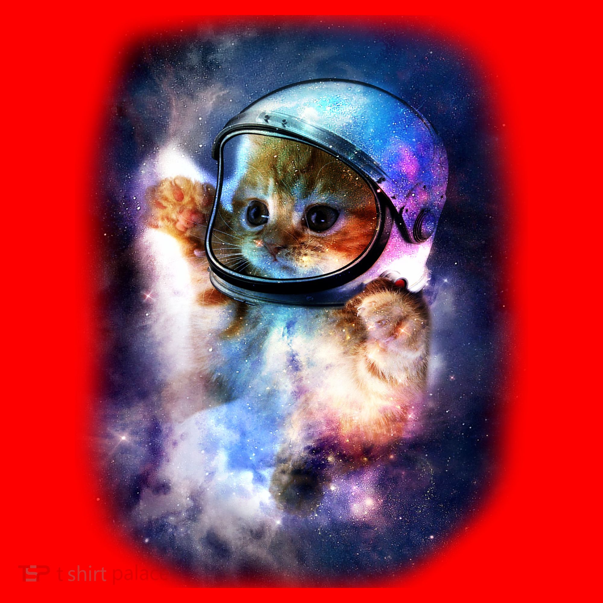 Astronaut Cat In Space Santa Hat