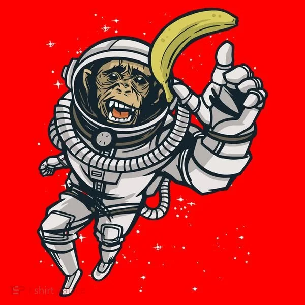 Astronaut Chimp Banana Santa Hat