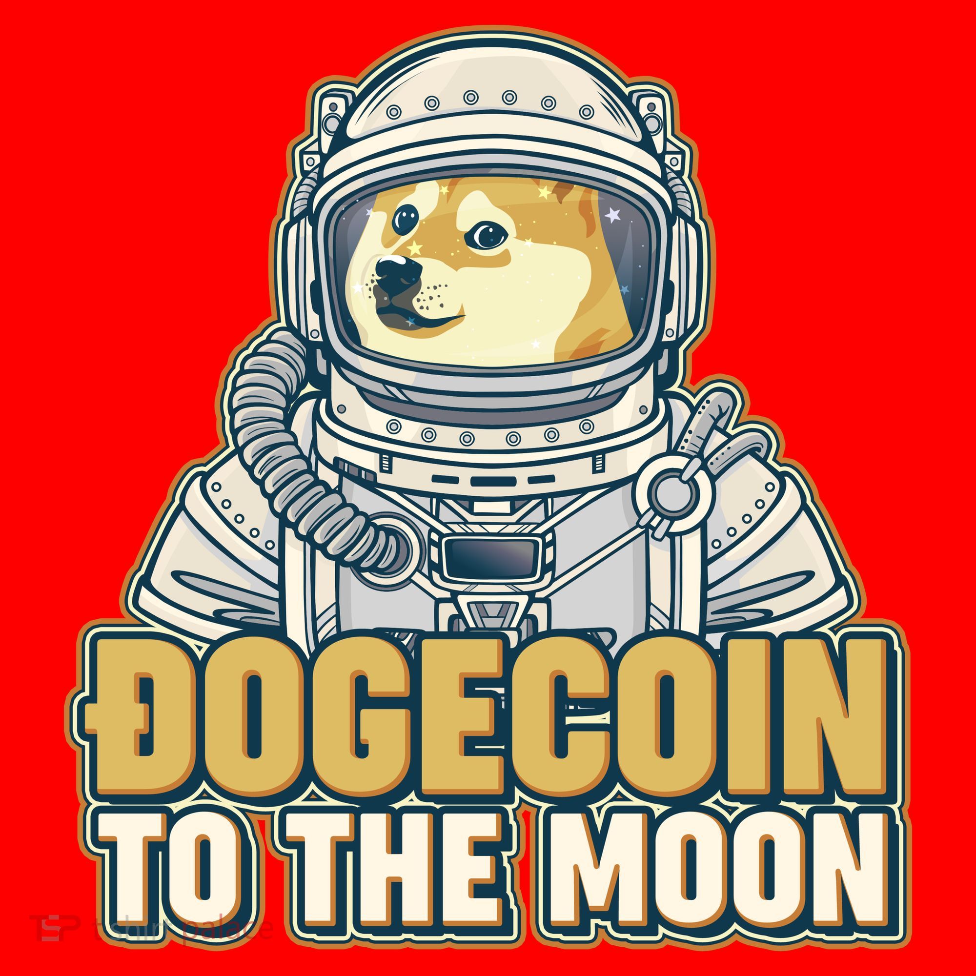 Astronaut Dogecoin To The Moon Crypto Santa Hat