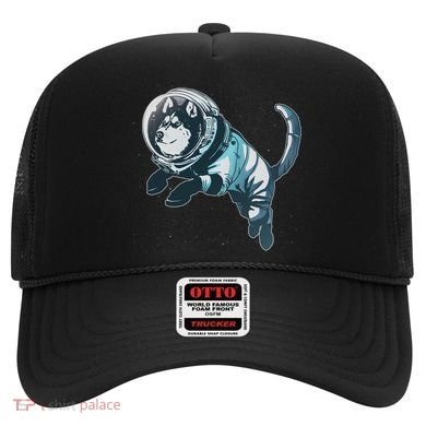 Astronaut Husky Dog Space Hat