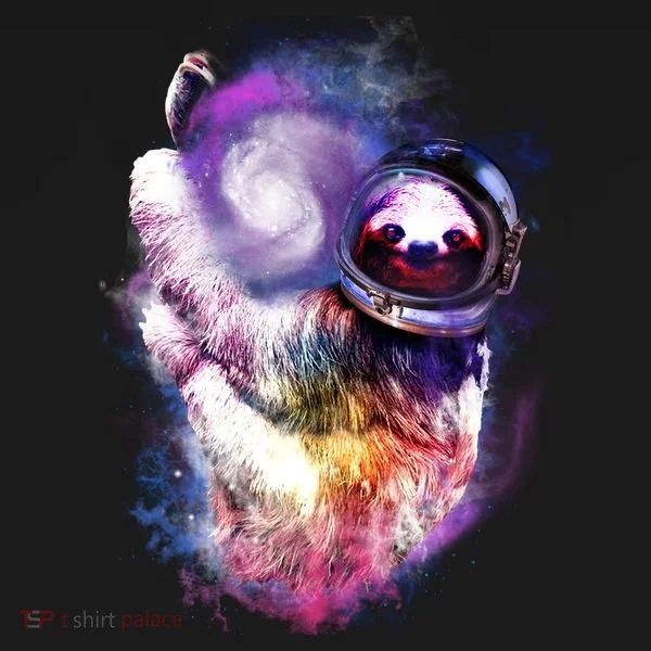 Astronaut Sloth Hanging In Space Kids Hoodie