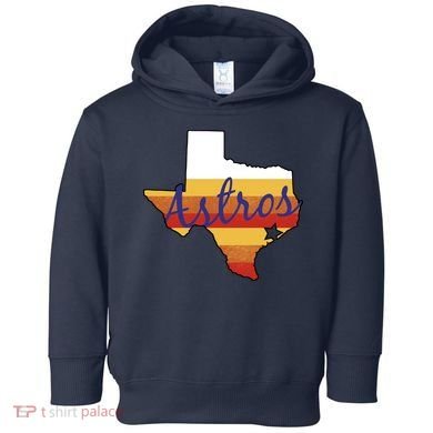 Astros Baseball Vintage Toddler Hoodie