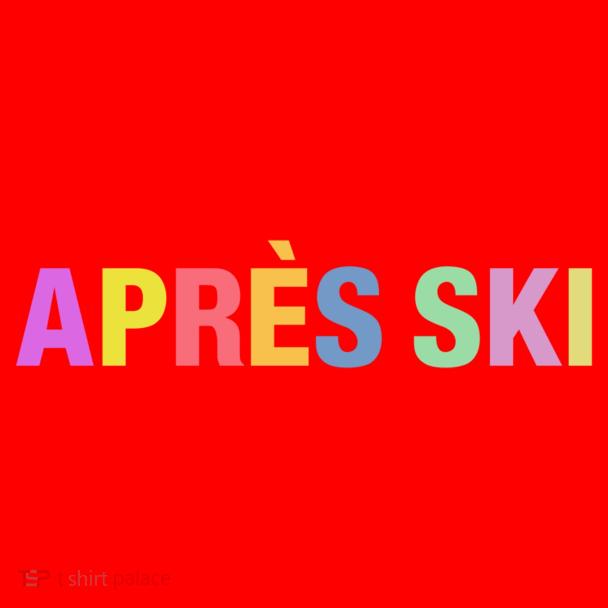 Après Ski Winter Sports Gift Santa Hat