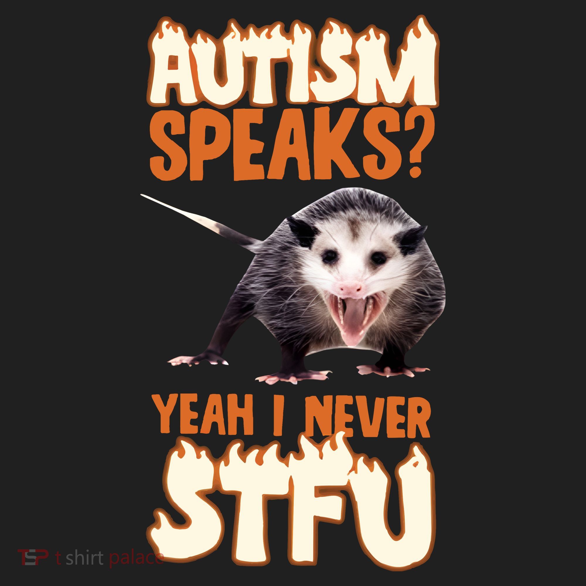 Autism Speaks Yeah I Never Stfu Beanie