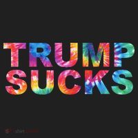 Anti Trump Women's Sweatshirt thumb 2