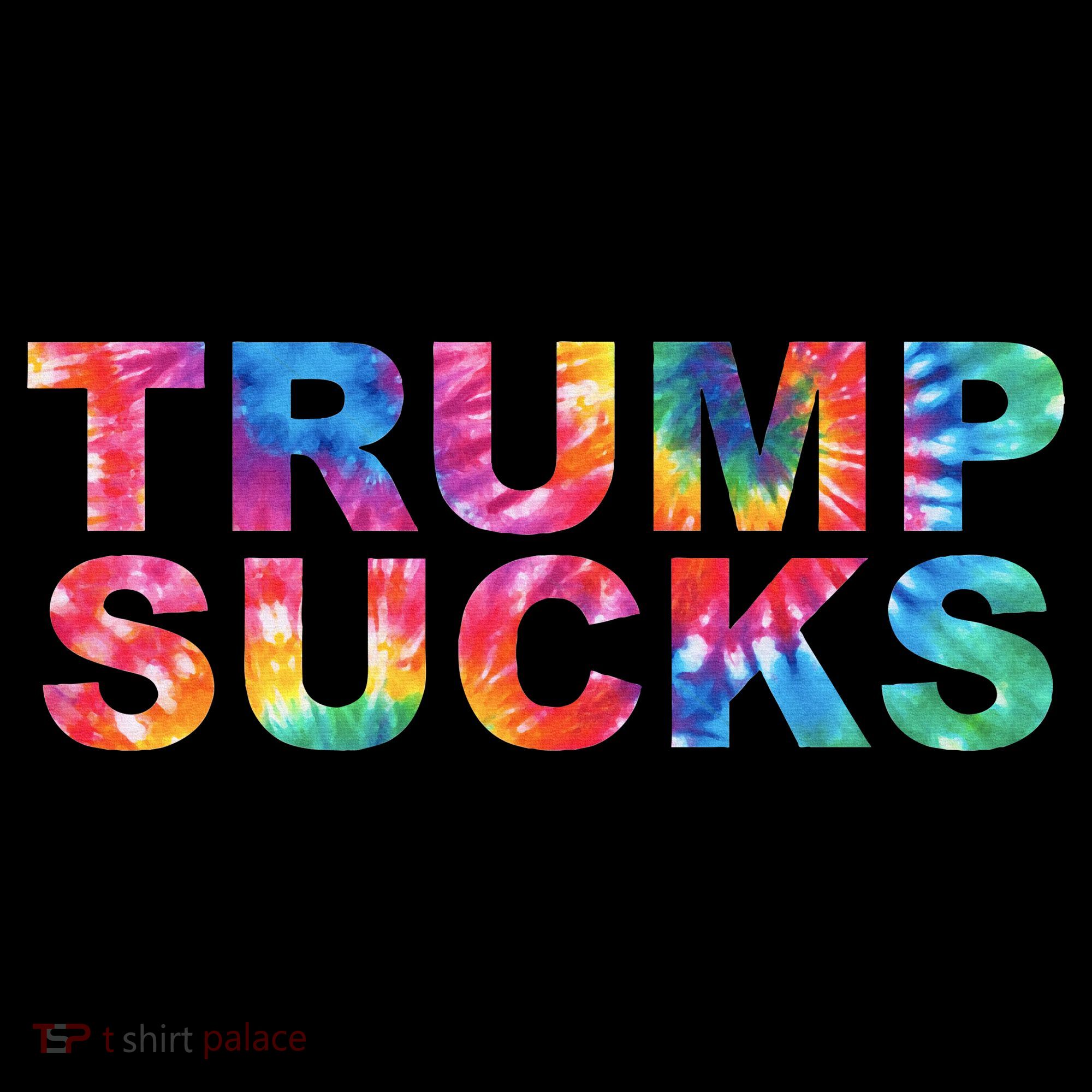 Anti Trump Coaster