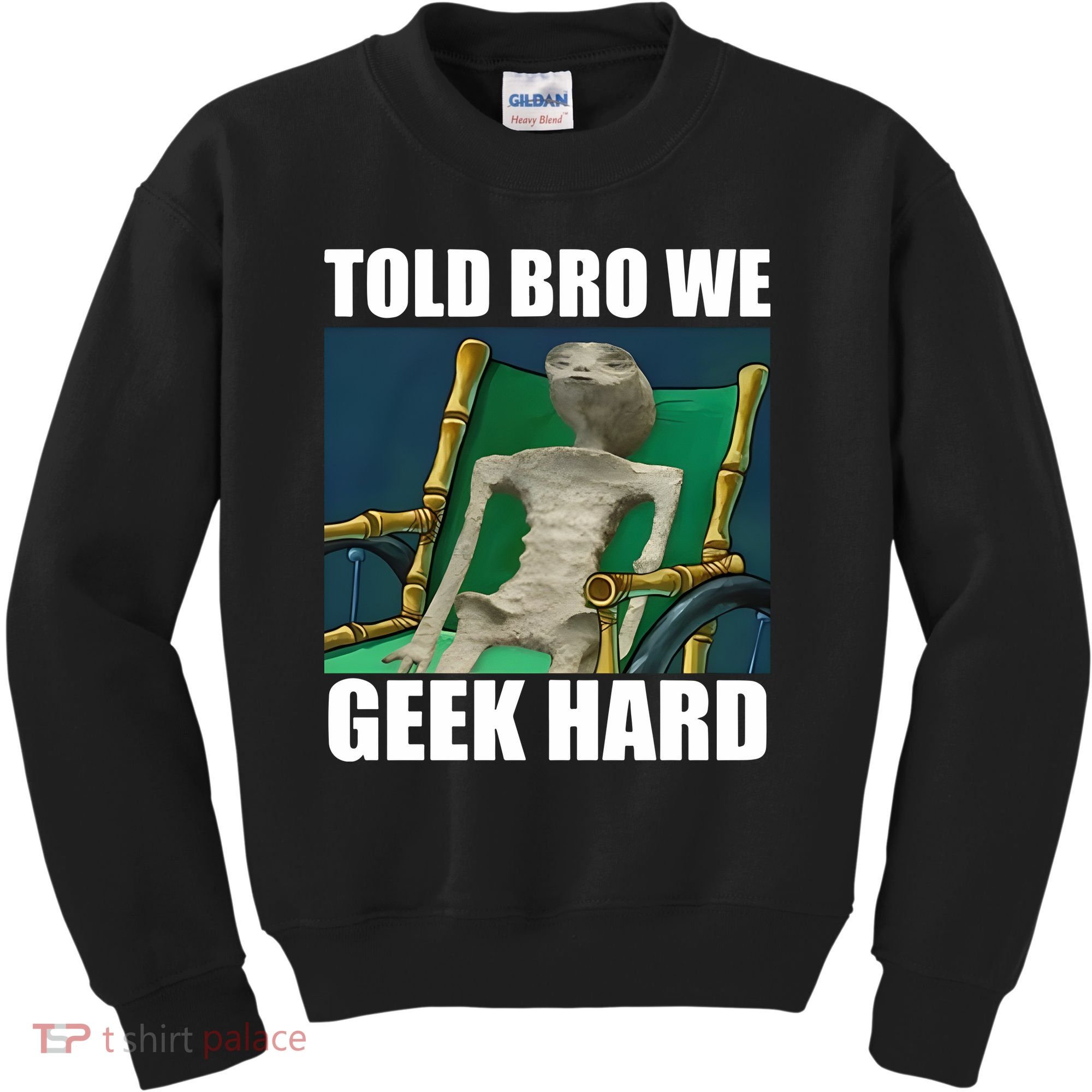 Alien Told Bro We Geek Hard Kids Sweatshirt