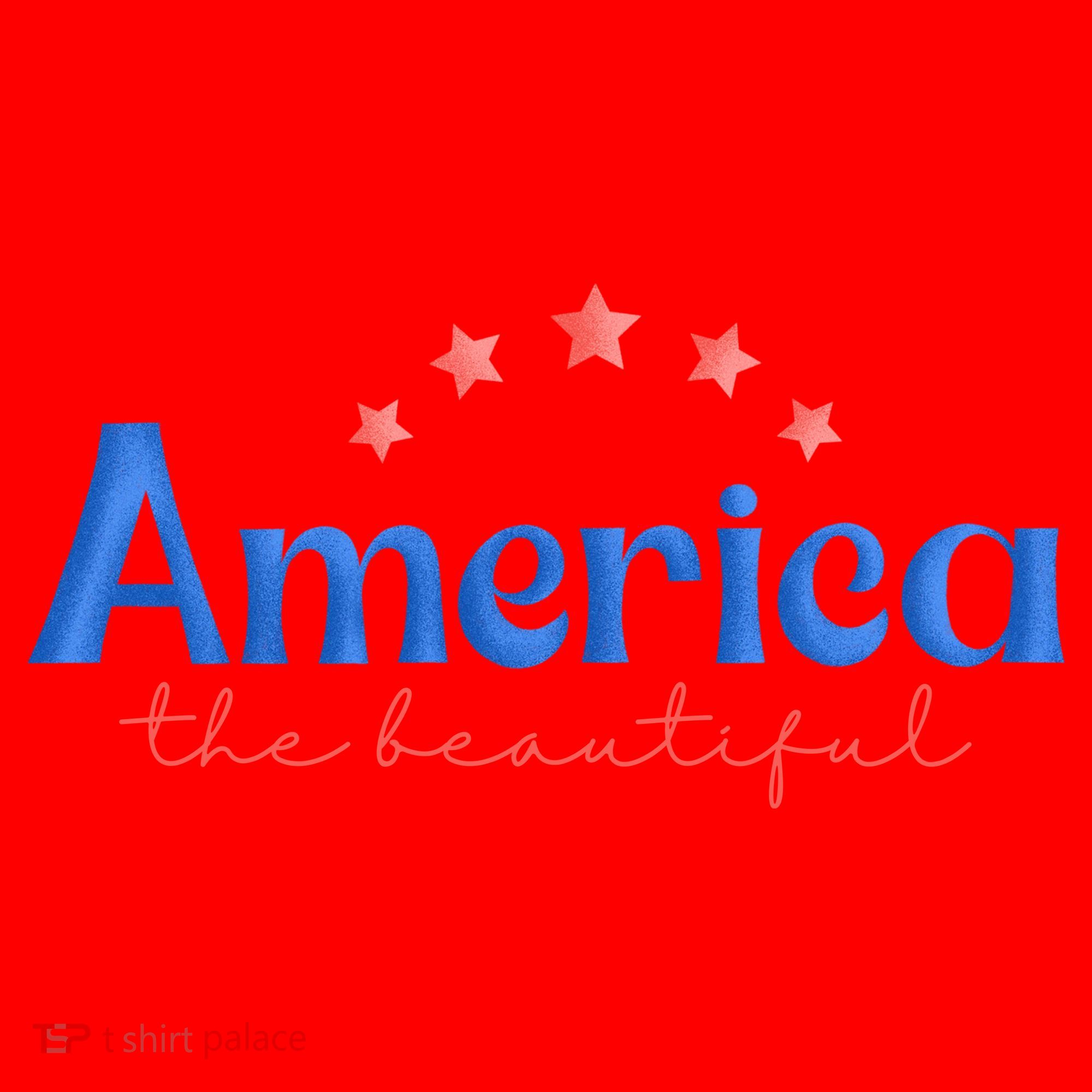 America The Beautiful 4th Of July Star Santa Hat