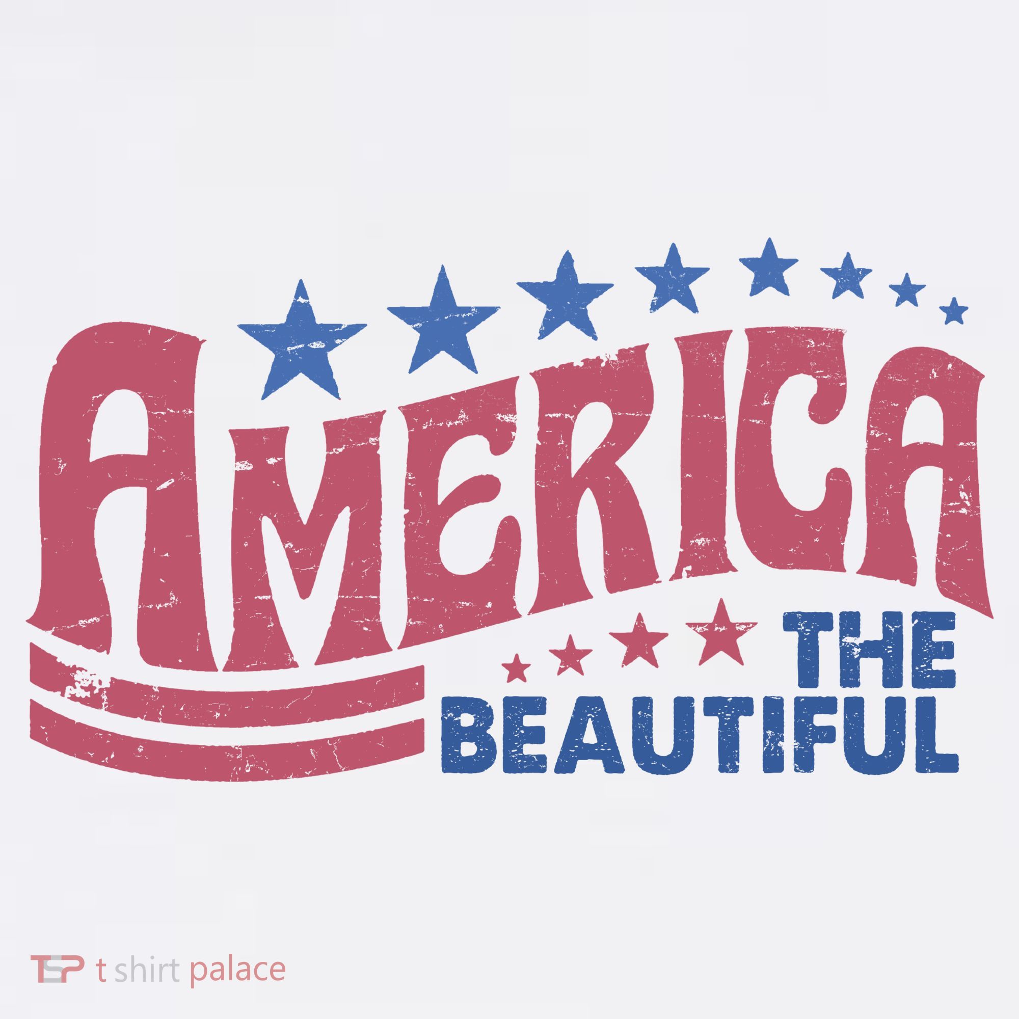 America The Beautiful Vintage T-Shirt
