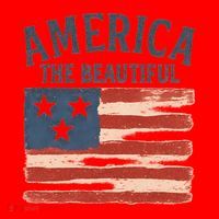 America The Beautiful Santa Hat thumb 1