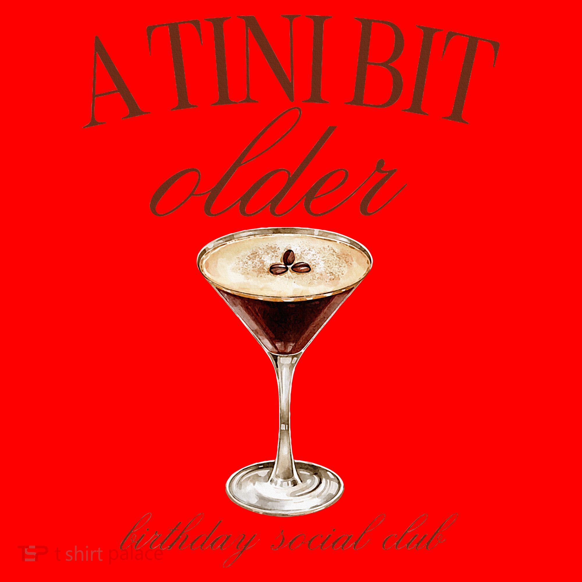 A Tini Bit Older Espresso Martini Birthday Matching Santa Hat