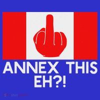 Annex This Eh! Pro Canada Flag For Anti Trump Canadian Women's Tank Top thumb 5