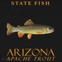Arizona Territory Fish The Apache Trout Tank Top thumb 6