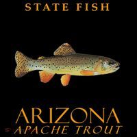 Arizona Territory Fish The Apache Trout Women's Long Sleeve Shirt thumb 2