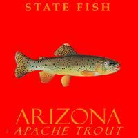Arizona Territory Fish The Apache Trout Santa Hat thumb 1