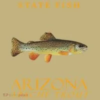 Arizona Territory Fish The Apache Trout Hoodie thumb 2