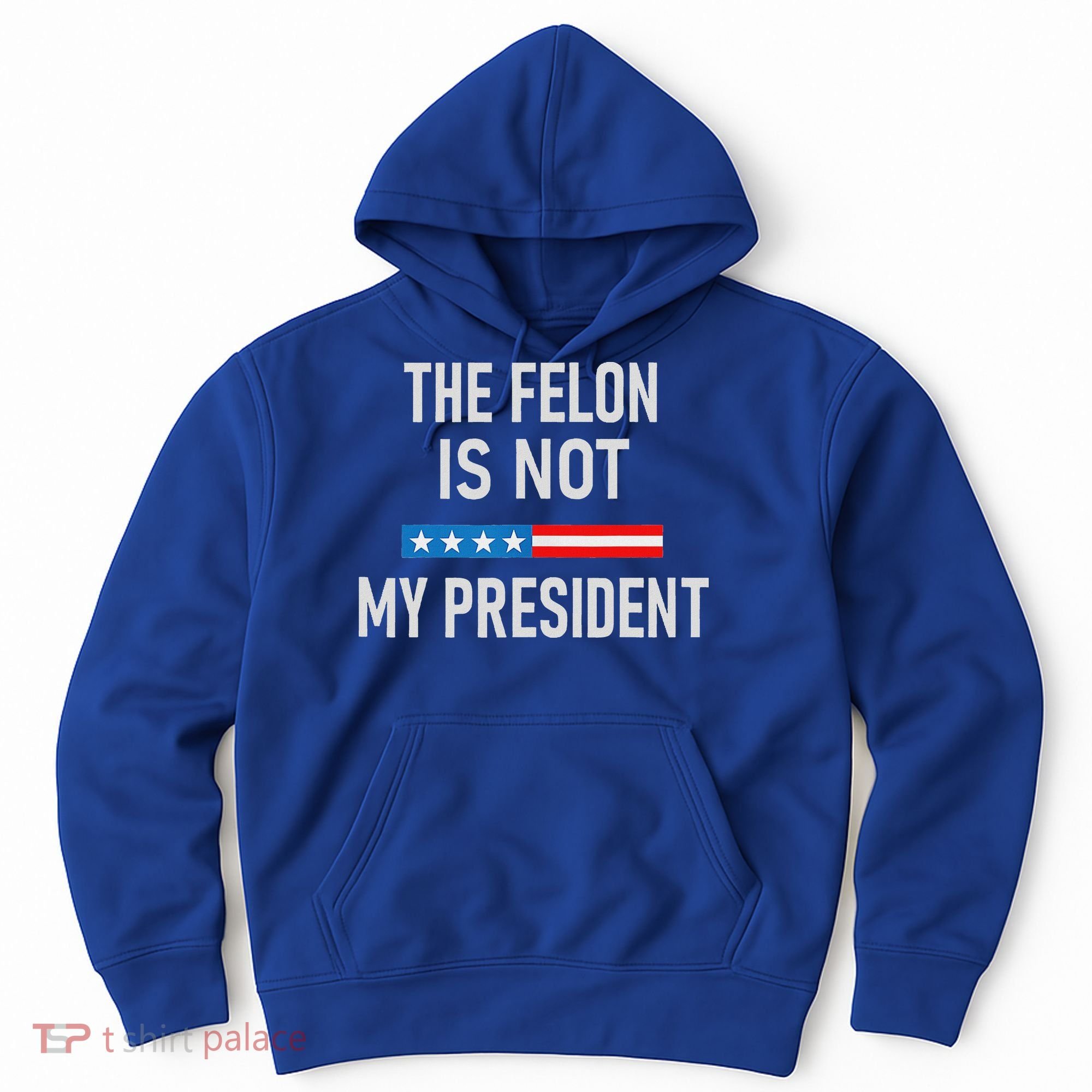 Anti Trump Felon Not My President Hoodie