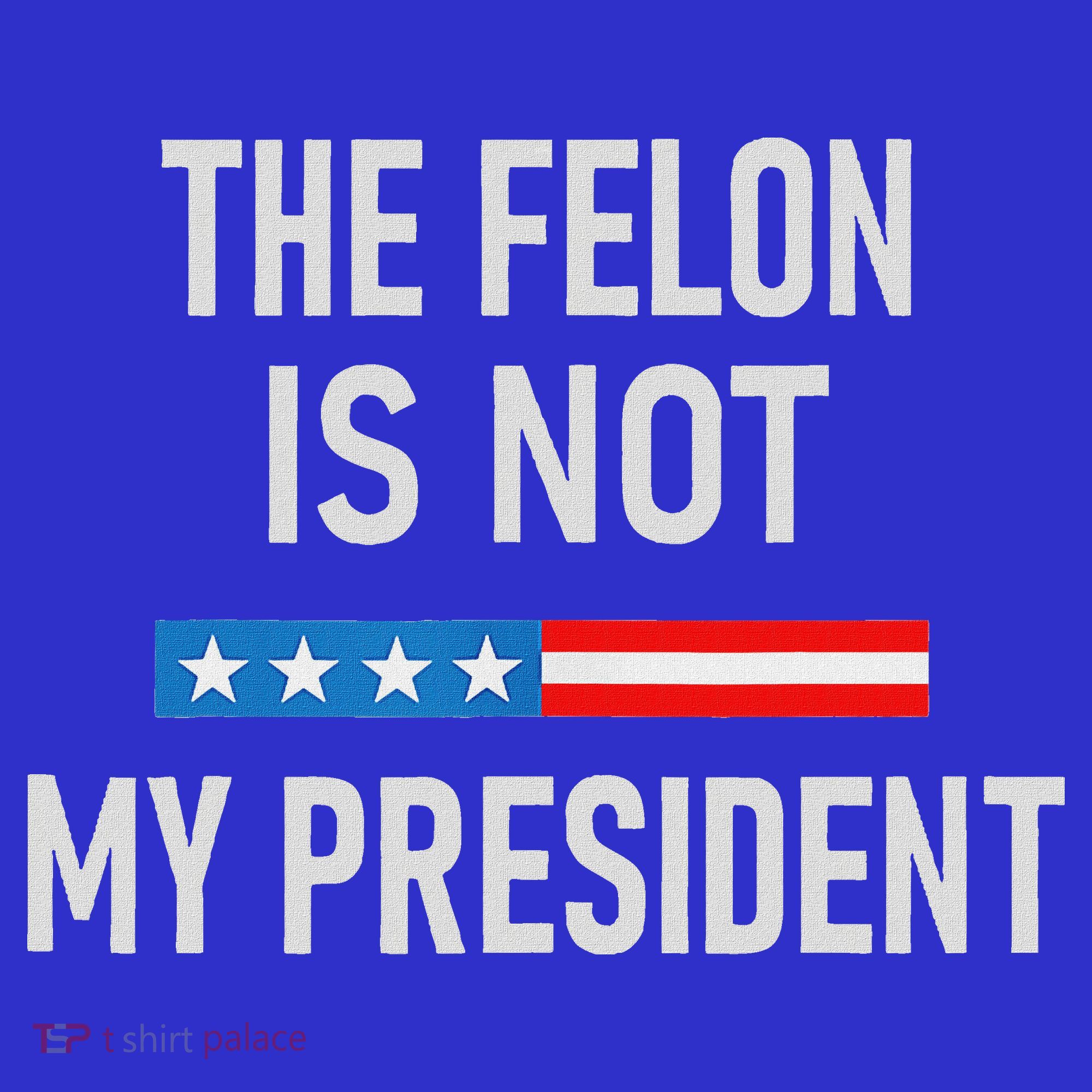 Anti Trump Felon Not My President Mousepad