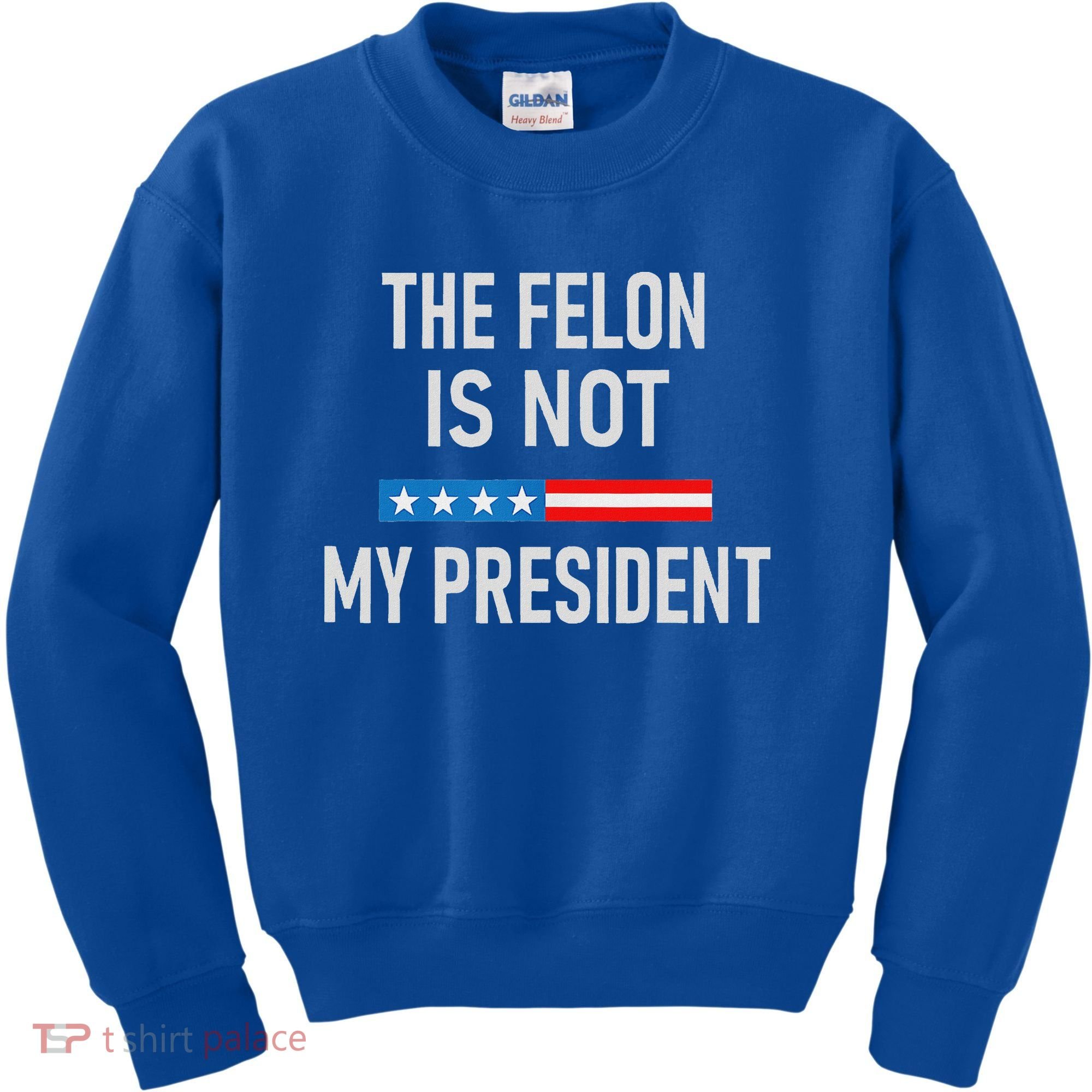 Anti Trump Felon Not My President Kids Sweatshirt