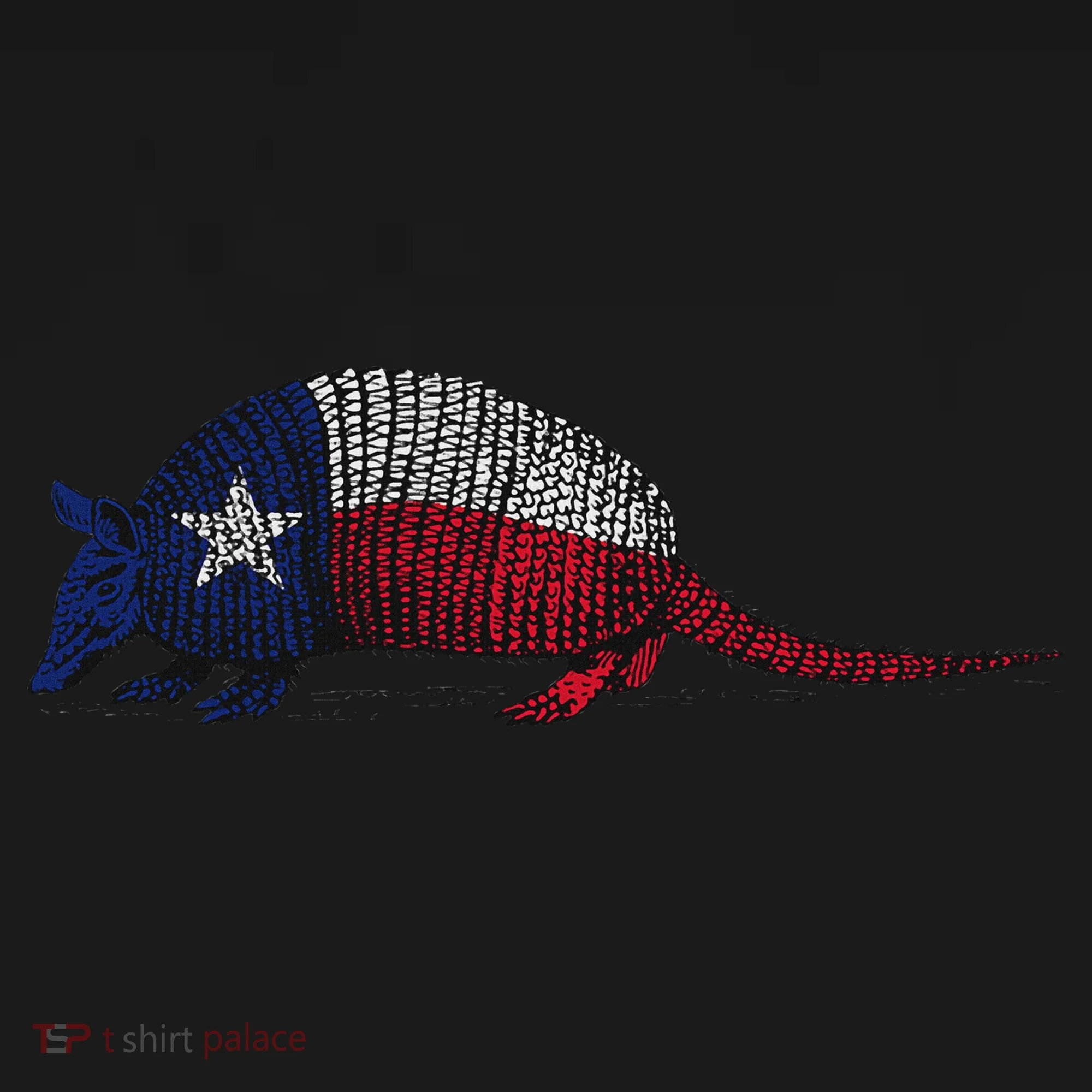 Armadillo Texas Flag Bucket Hat