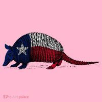 Armadillo Texas Flag Coaster thumb 2