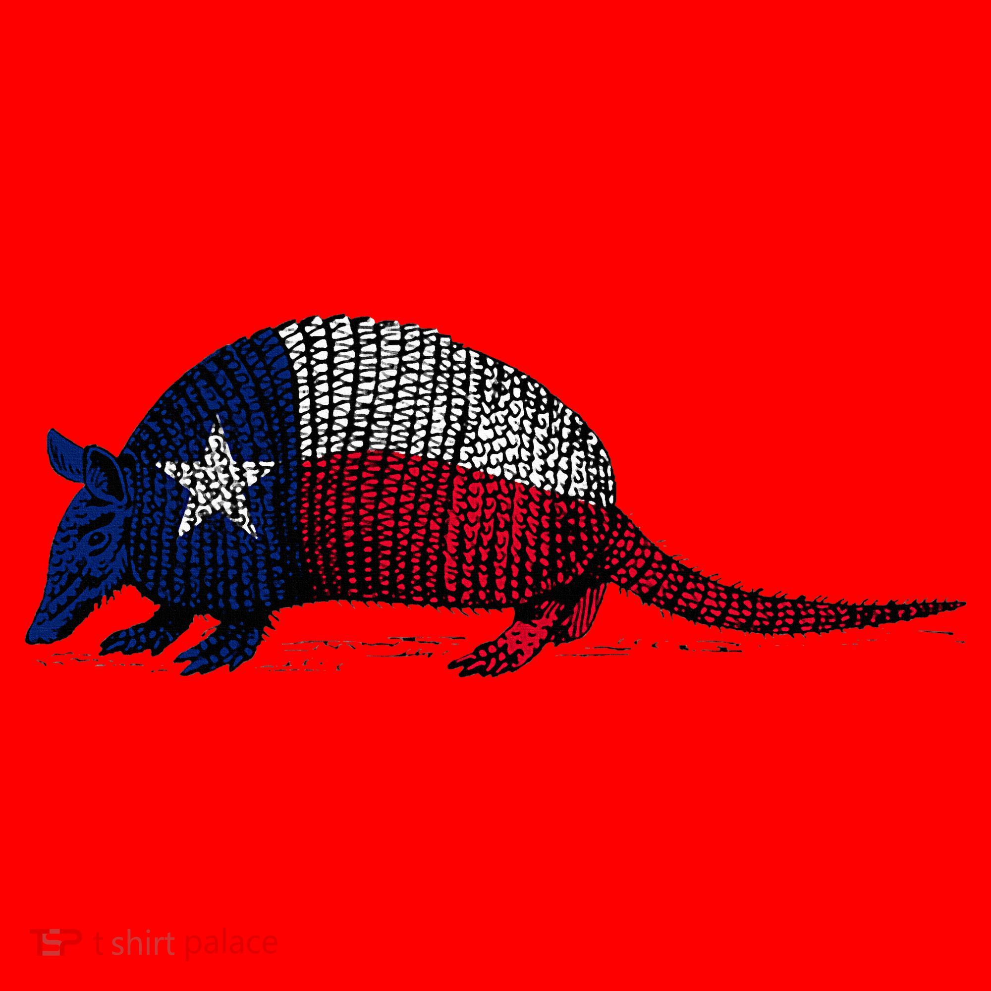 Armadillo Texas Flag Santa Hat