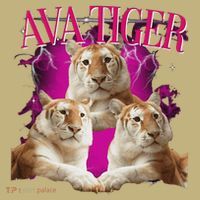 Ava The Golden Tiger Of Chiang Mai Cute Big Orange Cat T-Shirt thumb 7