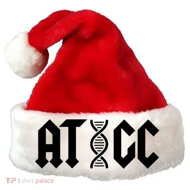 Santa Hat