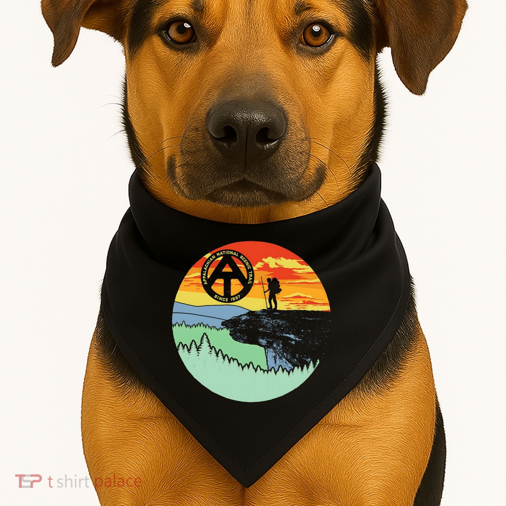 Appalachian Trail Hiker Gift Mcafee's Knob Retro Hiking Gift USA-Made Doggie Bandana