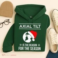 Axial Tilt Is The Reason For The Season Xmas Hoodie thumb 4