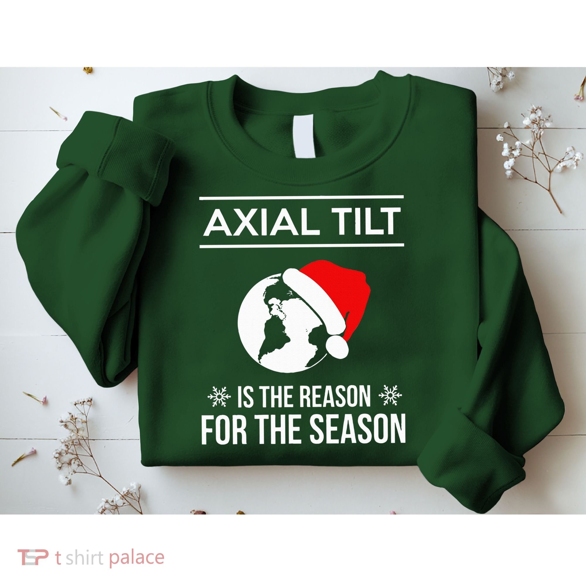 Axial Tilt Is The Reason For The Season Xmas Sweatshirt