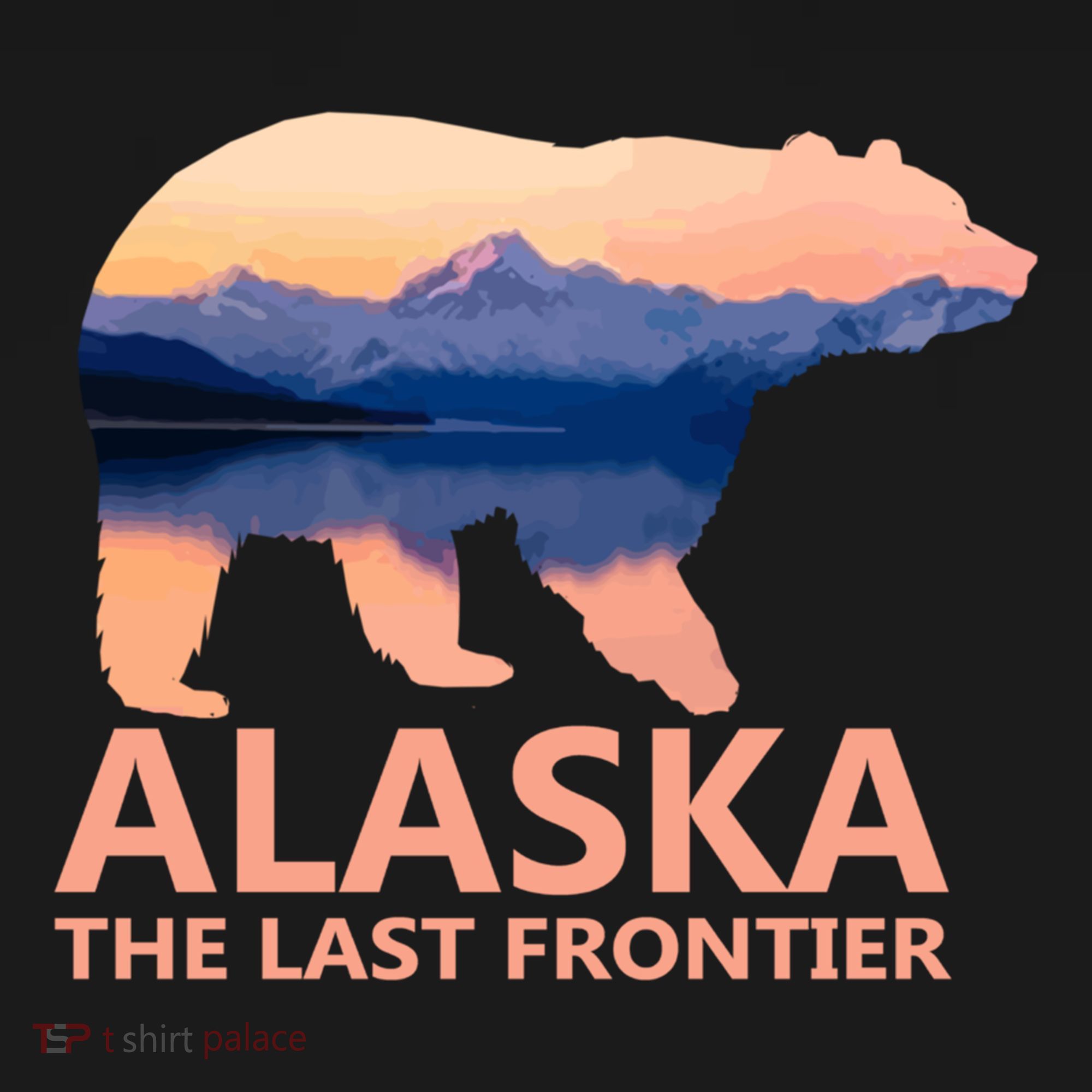 Alaska The Last Frontier Grizzly Bear Lake Gift Funny Gift Women's Hoodie