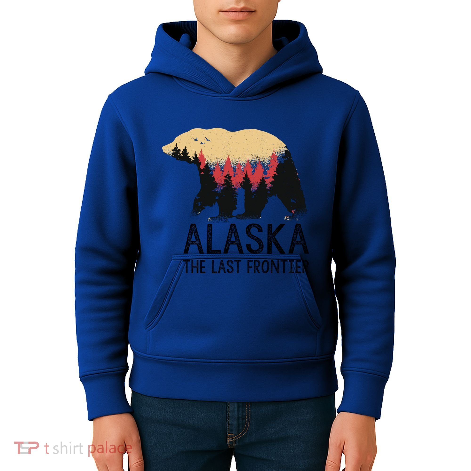 Alaska The Last Frontier Souvenir Gift Kids Hoodie