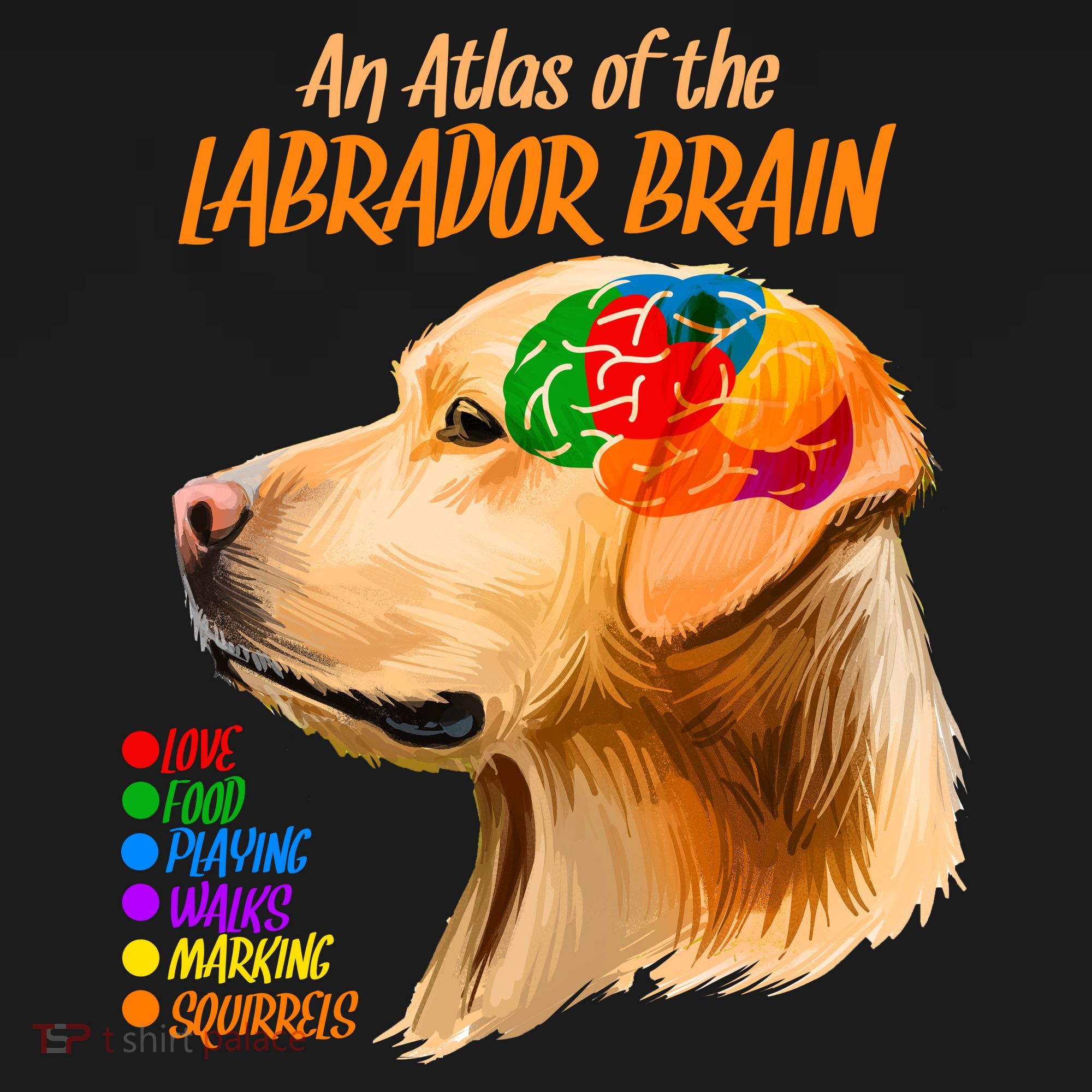 Atlas of The Labrador Retriever Brain Women's Hoodie